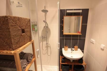 Downtown Appartement Praag